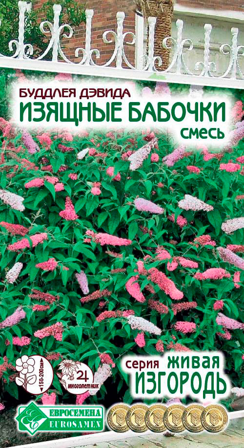 

Семена ЕВРОСЕМЕНА Буддлея Давида Изящные бабочки, Смесь, 8 шт. Живая изгородь