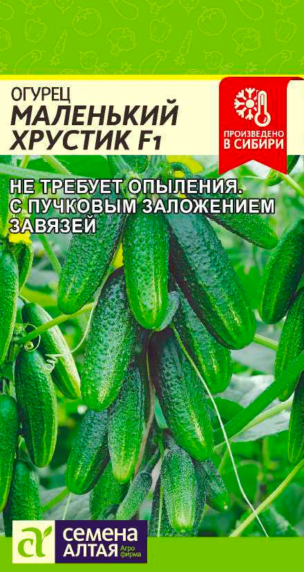 

Семена Семена Алтая Огурец Маленький Хрустик F1, 6 шт. Произведено в Сибири
