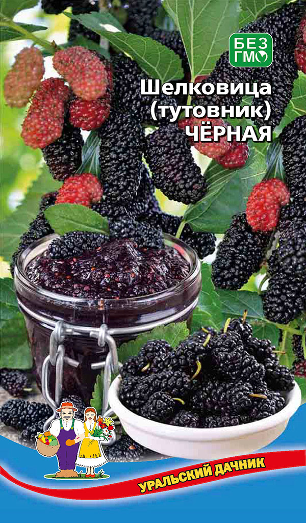 

Семена Уральский дачник Шелковица (тутовник) Черная, 0,15 г
