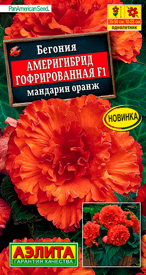 

Семена Аэлита Бегония гофрированная Америгибрид Мандарин Оранж F1, 5 шт. PanAmerican Seed