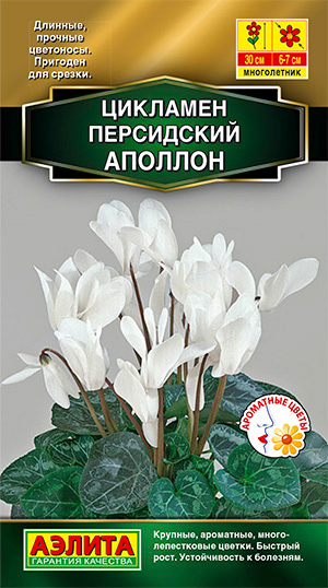 Семена Аэлита Цикламен персидский Аполлон 3 шт Высшее качество 88₽