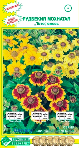 

Семена ЕВРОСЕМЕНА Рудбекия мохнатая Тото, Смесь, 10 шт. Benary Мировые шедевры