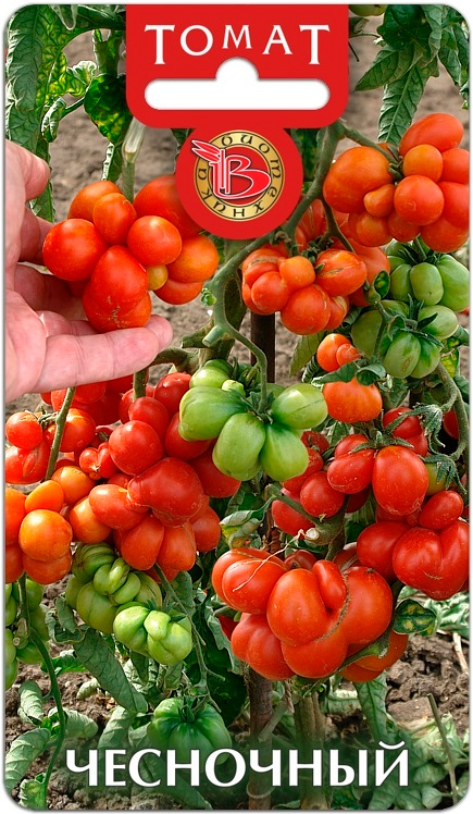 

Семена Биотехника Томат Чесночный, 20 шт.