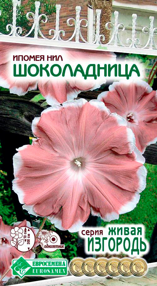 

Семена ЕВРОСЕМЕНА Ипомея нил Шоколадница, 0,3 г Живая Изгородь