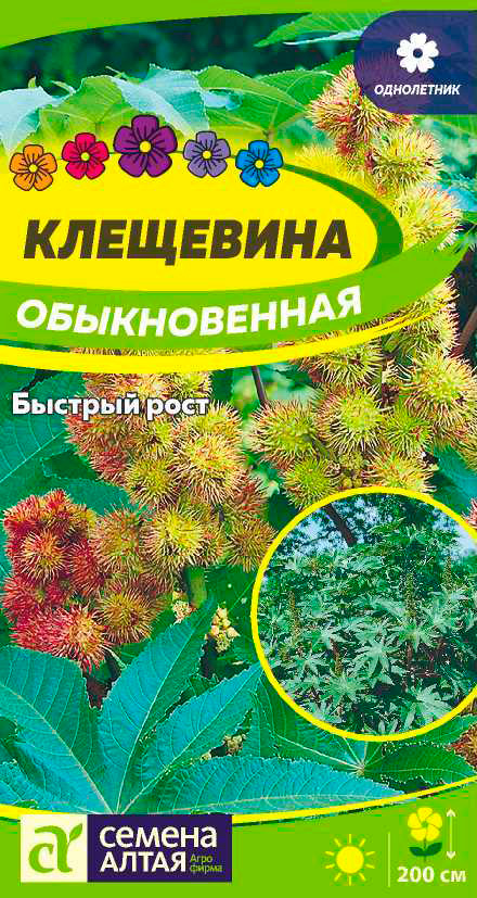 

Семена Семена Алтая Клещевина обыкновенная, 3 шт.