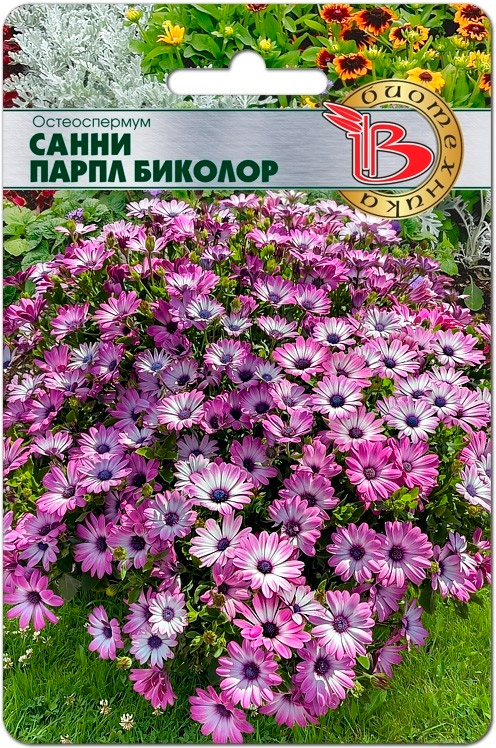 

Семена Биотехника Остеоспермум Санни Парпл Биколор, 5 шт.