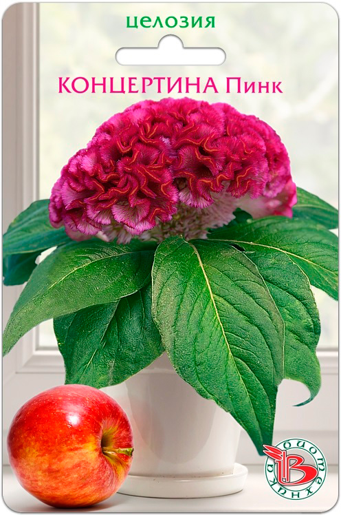 

Семена Биотехника Целозия горшечная Концертина Пинк, 8 шт.