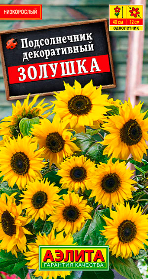 

Семена Аэлита Подсолнечник декоративный Золушка, 0,5 г