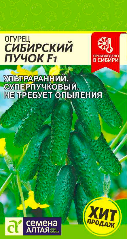Семена Семена Алтая Огурец Сибирский пучок, 5 шт. Произведено в Сибири