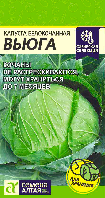 

Семена Семена Алтая Капуста белокочанная Вьюга, 0,5 г Сибирская селекция