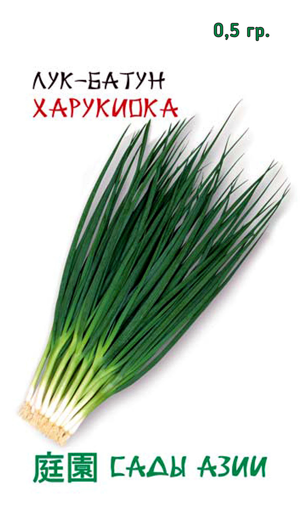 Семена Сады Азии Лук батун Харукиока, 0,5 г Marutane