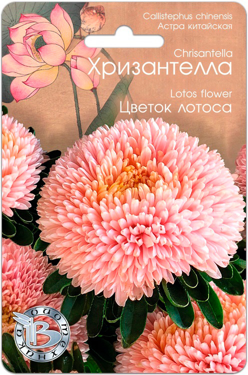

Семена Биотехника Астра китайская Хризантелла Цветок Лотоса, 30 шт.