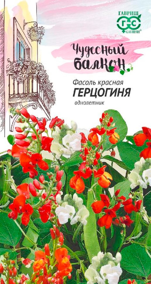 

Семена Гавриш Фасоль красная Герцогиня, 5 шт. Чудесный балкон