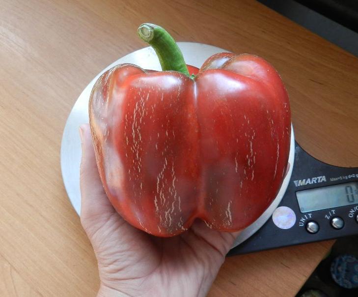 thumb
