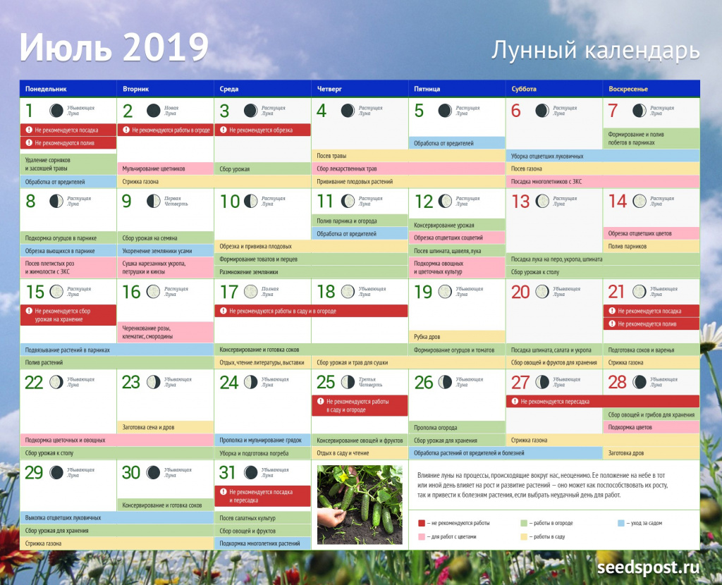Лунный календарь огородника июль