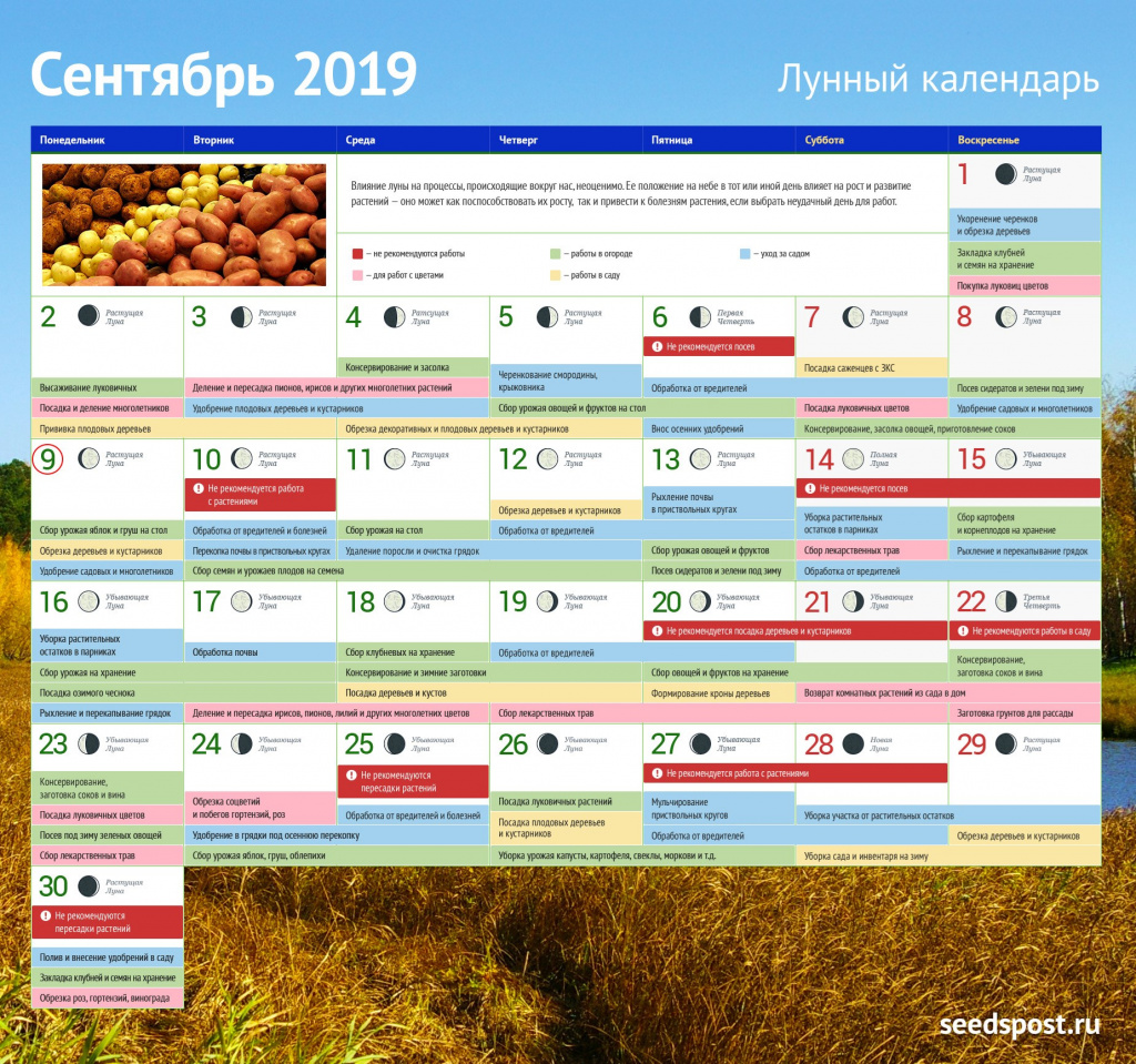 Лунный календарь садовода на сентябрь | Seedspost.ru