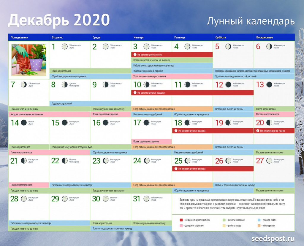 Лунный календарь садовода Декабрь 2020 | Seedspost.ru