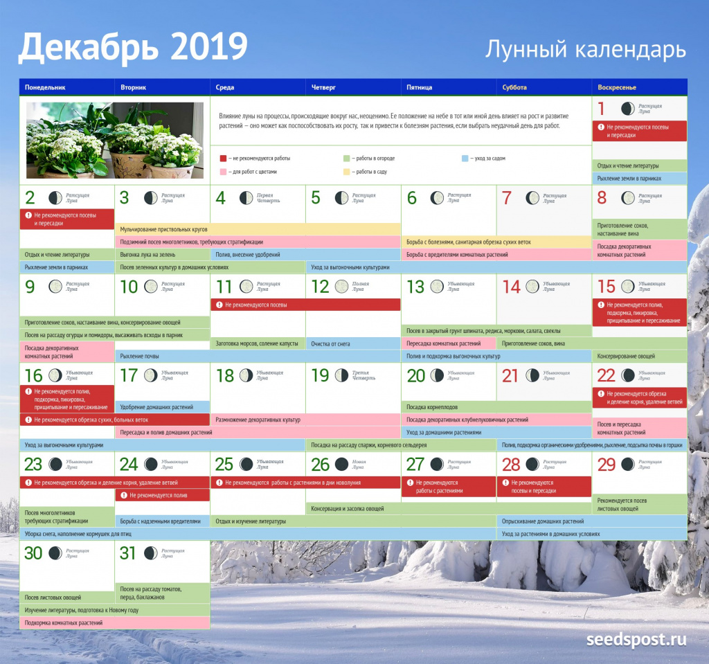 Лунный календарь садовода на декабрь | Seedspost.ru