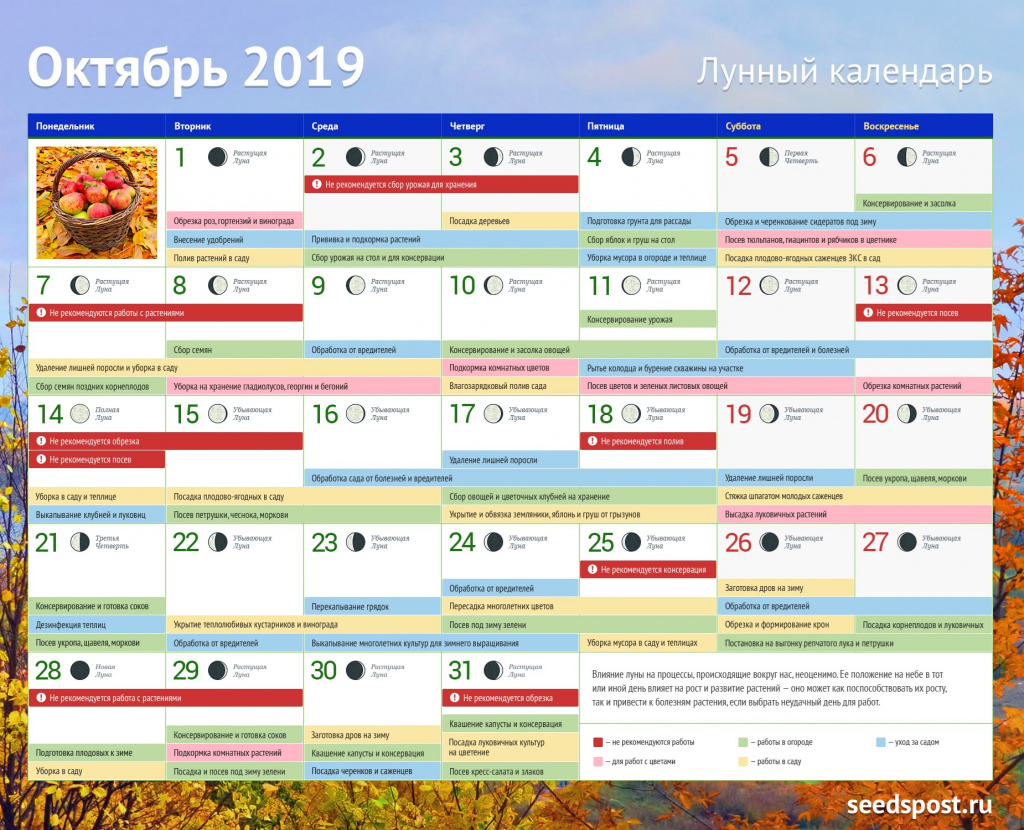 Лунный календарь садовода на октябрь | Seedspost.ru