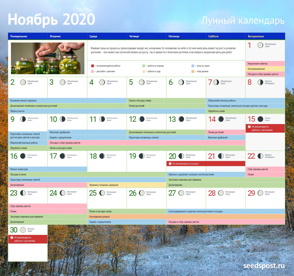 Календарь садовода на ноябрь