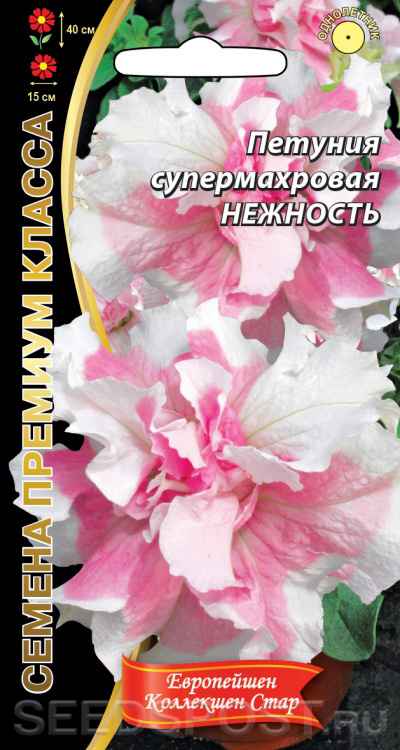 Seedspost Ru Интернет Магазин Семян Каталог