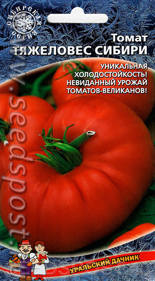 Томат Тяжеловес Сибири, 0,1 г Сибирская серия, купить в интернет магазине  Seedspost.ru