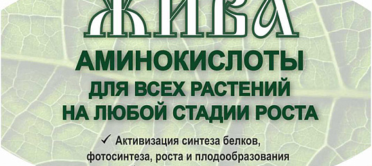 жива аминокислоты