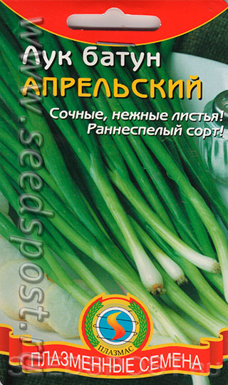 Лук батун Апрельский, 0,9 г, купить в интернет магазине Seedspost.ru