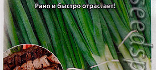 Лук на зелень Шашлычный, 1 г Кольчуга, купить в интернет магазине ...
