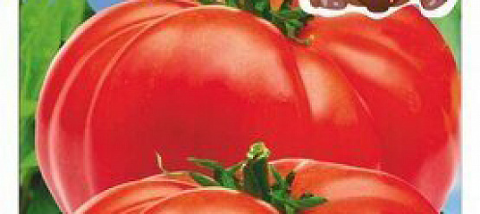 Томат Сахарное мясо, 20 шт. Сахар и Мед, Сибирская селекция, купить в ...