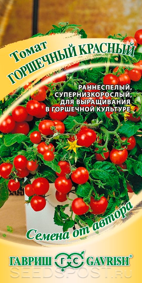 Томат Горшечный Красный, 0,1 г Семена от автора, купить в интернет магазинеSeedspost.ru