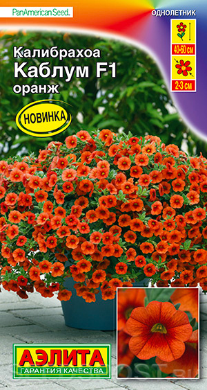 Калибрахоа Каблум Оранж F1, 3 шт. PanAmerican Seed, купить в интернет магазине Seedspost.ru