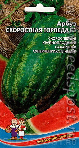 Арбуз Скоростная торпеда F1, 5 шт., купить в интернет магазине Seedspost.ru