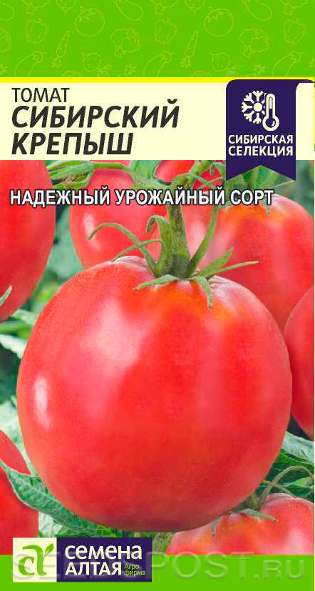 Томат Сибирский Абрикос Отзывы Фото Урожайность