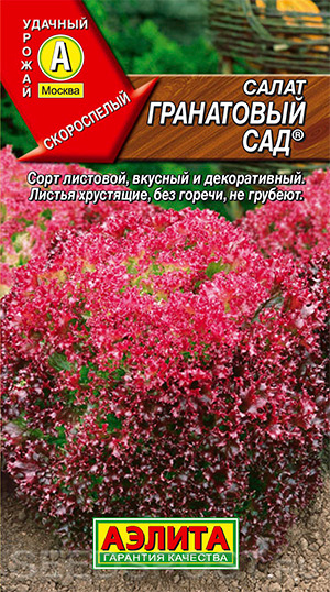 Салат листовой Гранатовый сад ®, 0,5 г, купить в интернет магазине  Seedspost.ru