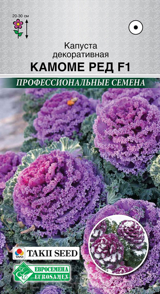 Капуста декоративная Камоме Ред F1, 5 шт. Takii Профессиональные семена,купить в интернет магазине Seedspost.ru
