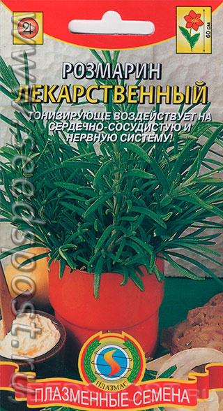Розмарин Лекарственный, 20 шт., купить в интернет магазине Seedspost.ru
