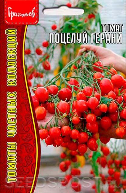 Томат Поцелуй Герани, 5 шт. Томаты частных коллекций, купить в интернет ...