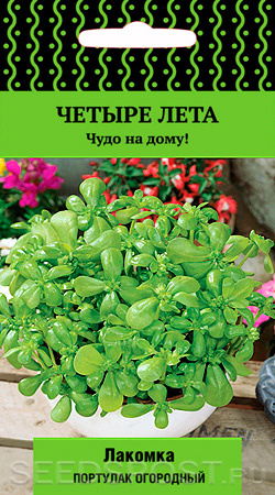 Portulak Ogorodnyj Lakomka 20 Sht Chetyre Leta Kupit V Internet Magazine Seedspost Ru
