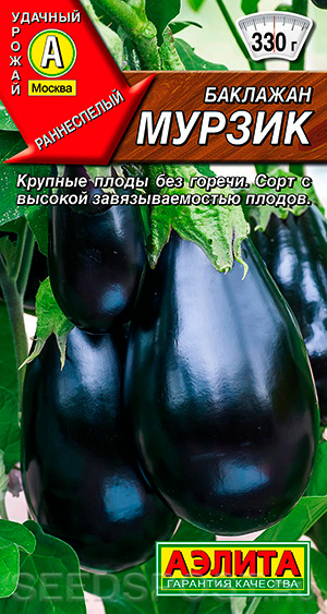 Баклажан Мурзик, 0,3 г, купить в интернет магазине Seedspost.ru