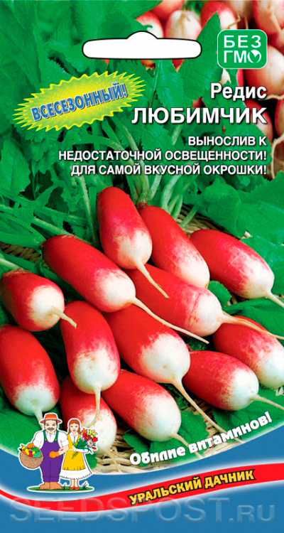 Редис Любава