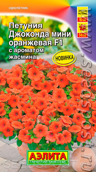 петуния джоконда мини фото стиле тамблер это