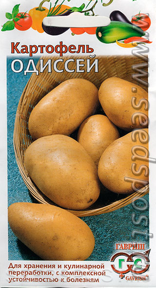 картофель одиссей семенами