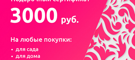 Что купить на 3000 рублей