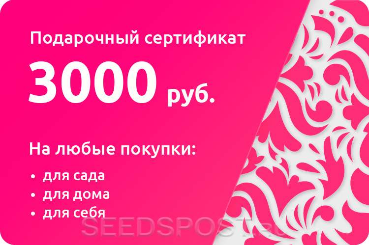 Сертификат на 3000 рублей. Подарочный сертификат 3000. Купон подарочный сертификат. Подарочный сертификат 3000 руб.