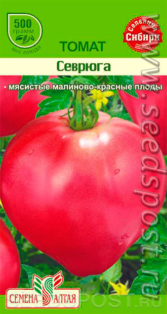 Томат Севрюга, 0,05 г Сибирская Селекция!, купить в интернет магазине  Seedspost.ru