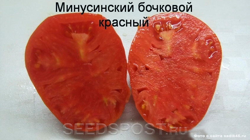 помидор бочковой минусинский розовый. Смотреть фото помидор бочковой минусинский розовый. Смотреть картинку помидор бочковой минусинский розовый. Картинка про помидор бочковой минусинский розовый. Фото помидор бочковой минусинский розовый